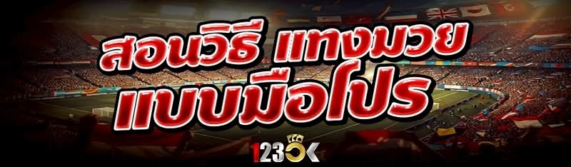 สอนวิธี แทงมวย แบบมือโปร