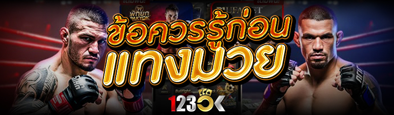 แนะนำข้อควรรู้ก่อน แทงมวย